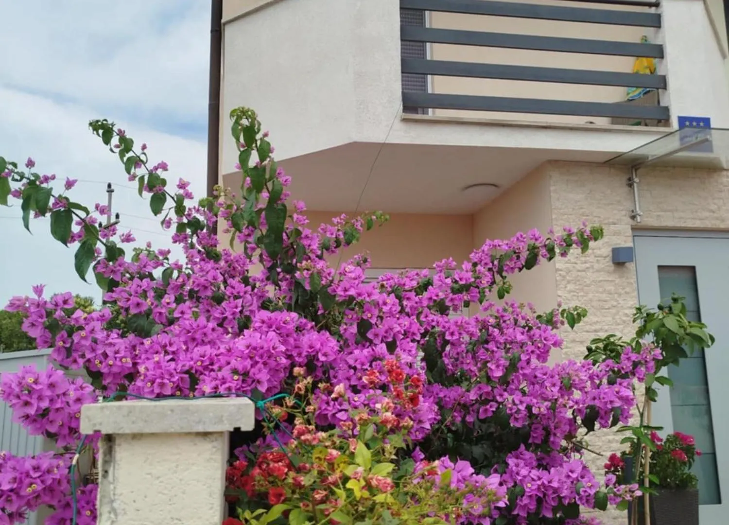Smokvica Apartment Savudrija